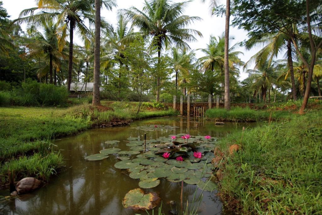 Hotel Shreyas Retreat Nelamangala Esterno foto